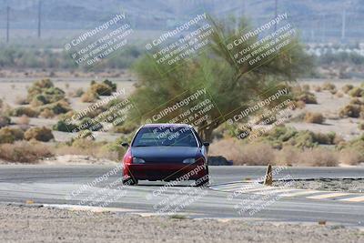 media/Oct-24-2025-Doghouse Garage (Fri) [[783d2ff07a]]/1-Advanced/Session 2 Turn 5 Tree of Life/